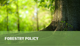 Política florestal